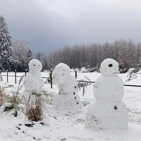 à L'orée De La Fôret