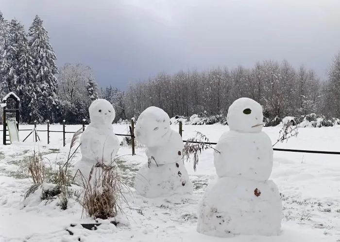 A L'oree De La Foret